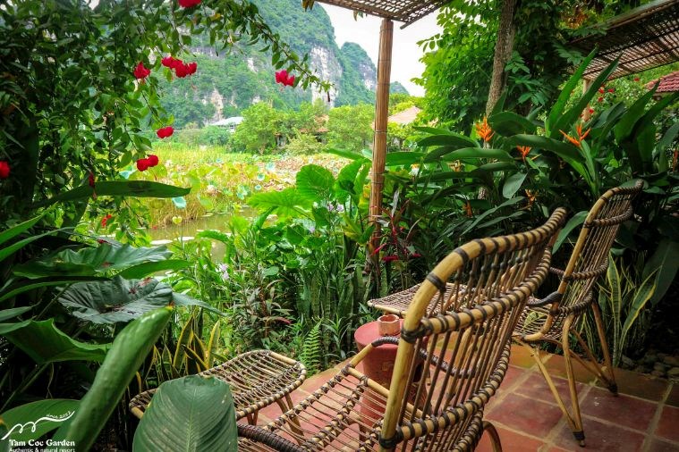 Premium Tonkin Garden Bungalow